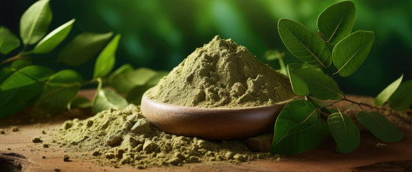 Moringa Powder: Secret for Flawless & Healthy Skin - Shankara India